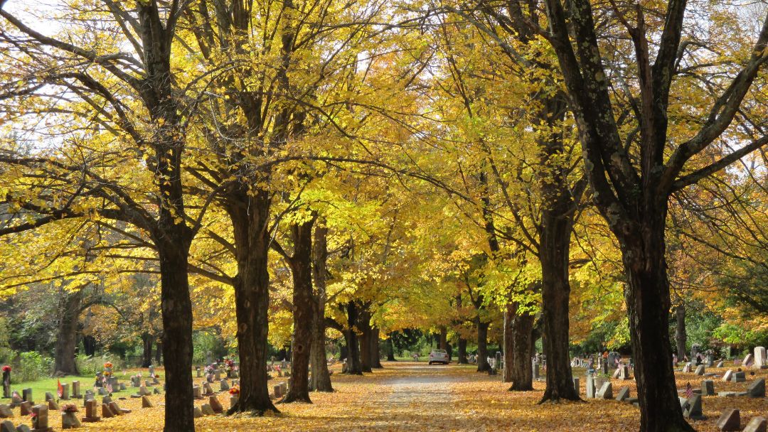 The Different Types of Services a Funeral Celebrant Can Officiate